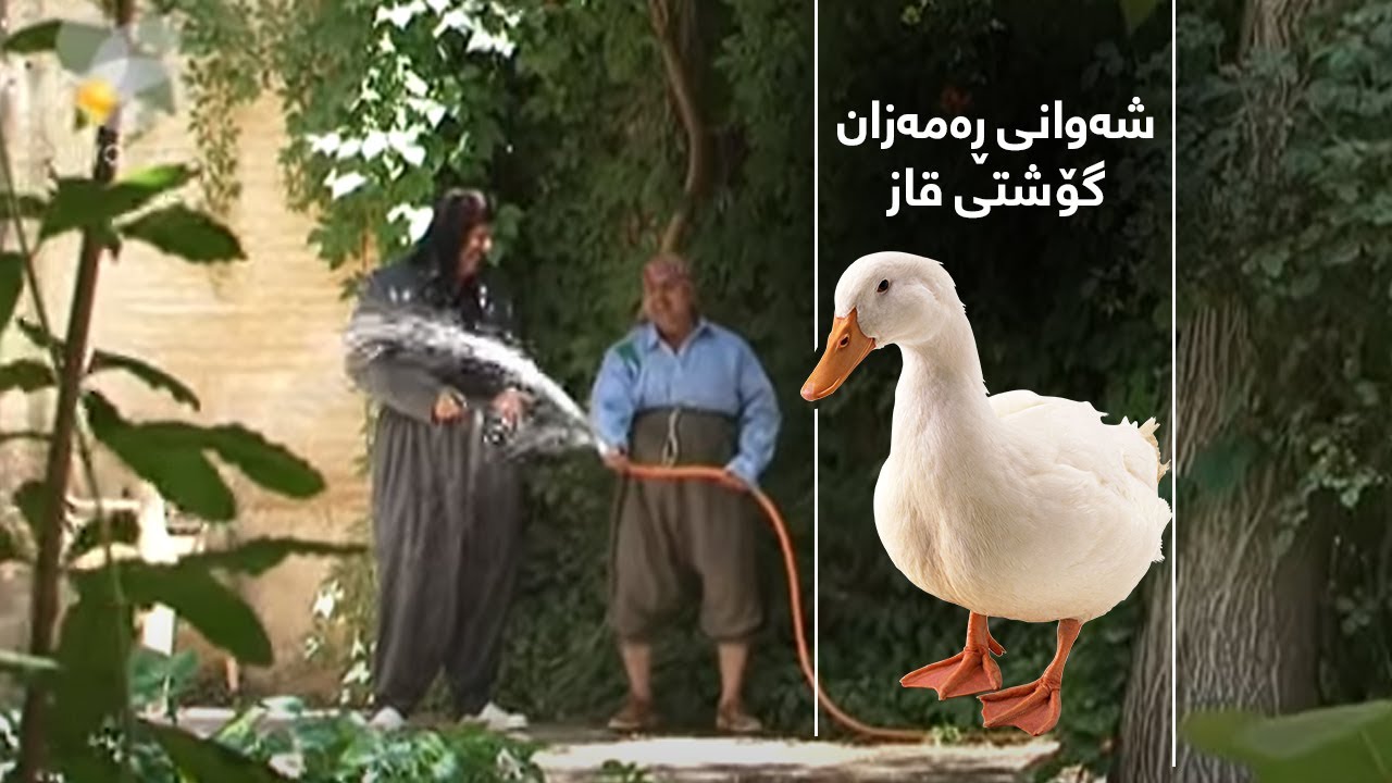 شەوانی ڕەمەزان - گۆشتی قاز | Shawani Ramazan - Goshty Qaz