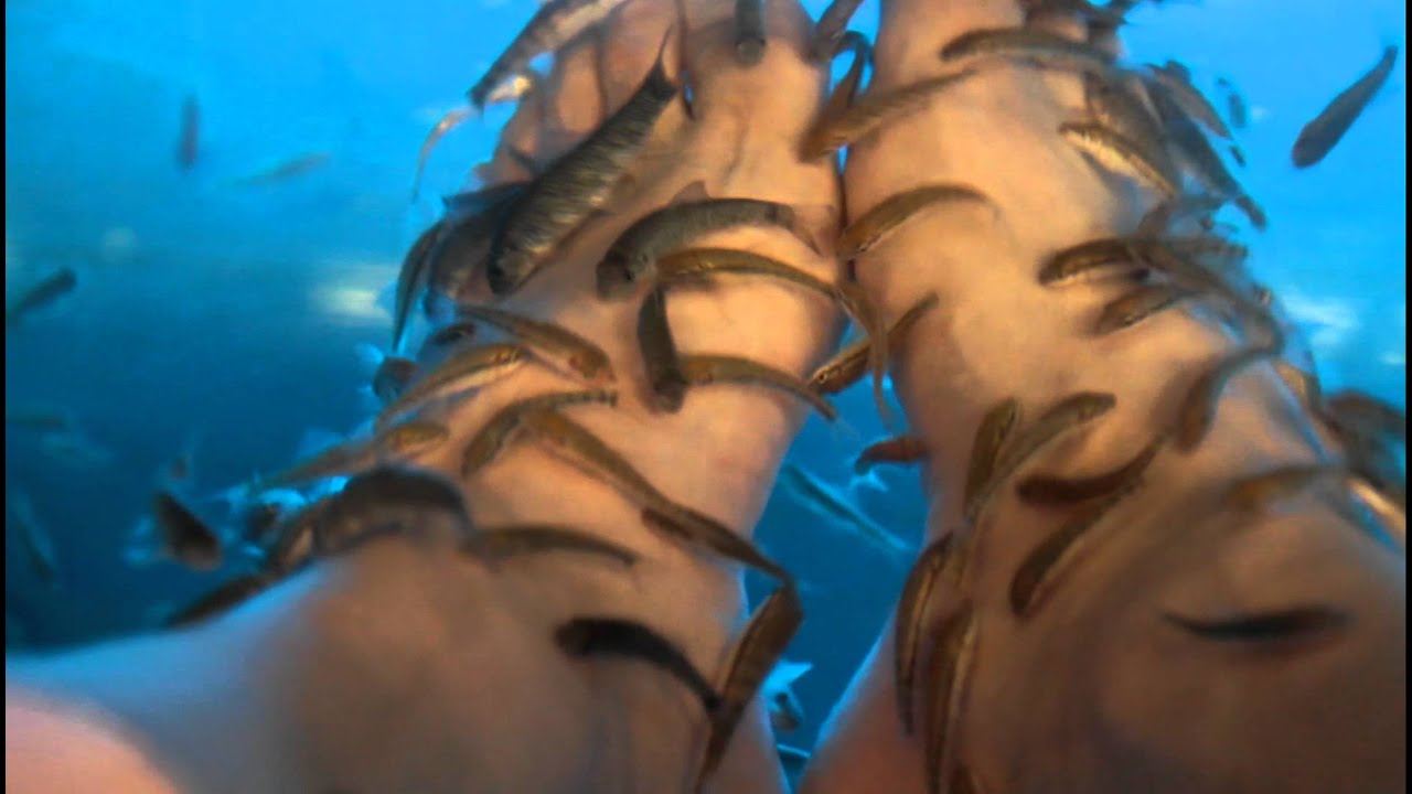 Fish eating feet