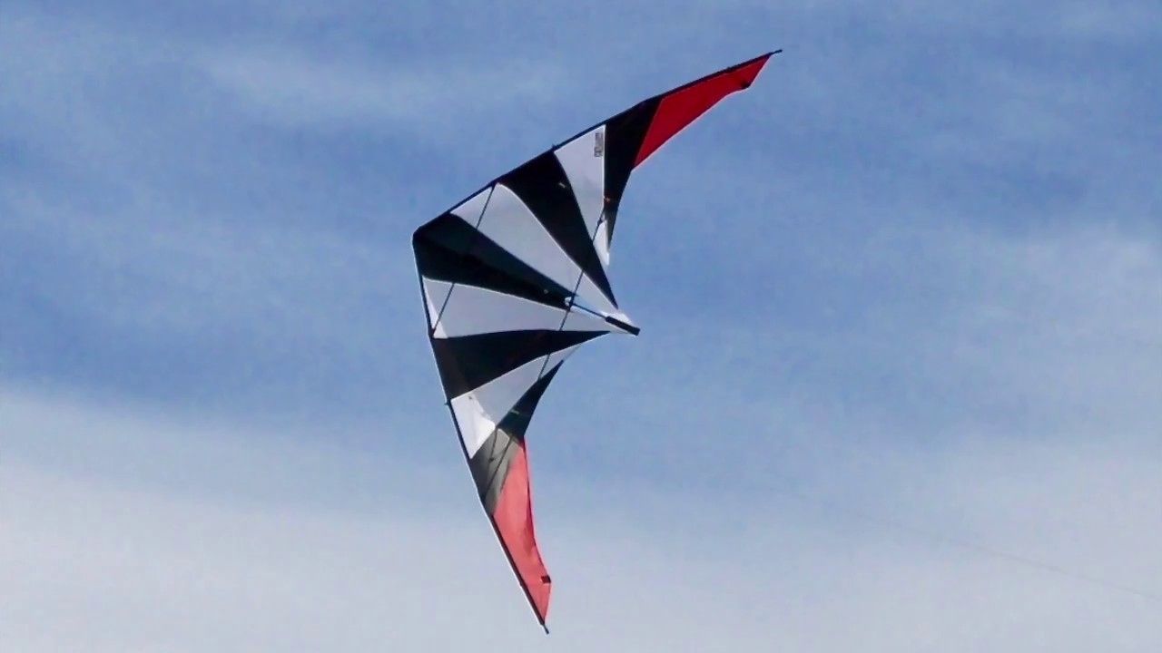 Fellow Sport Team Kite