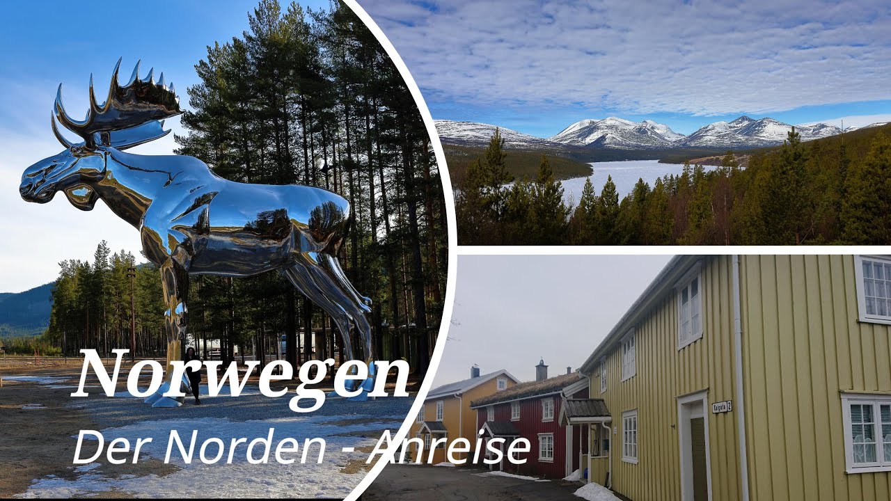 Norwegen, Norway - Der Norden - # 1 - Anreise: Dovrefjell, Orcas, Elche, Polarkreis, Saltstraumen