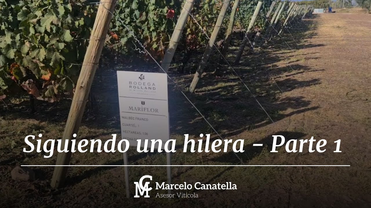 Siguiendo una hilera - Parte 1 - Postcosecha