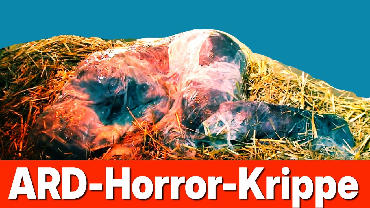 Wieso es dazu kommen konnte &ndash;Body-Horror Christmette 2025 in der ARD - Stuttgart St. Maria