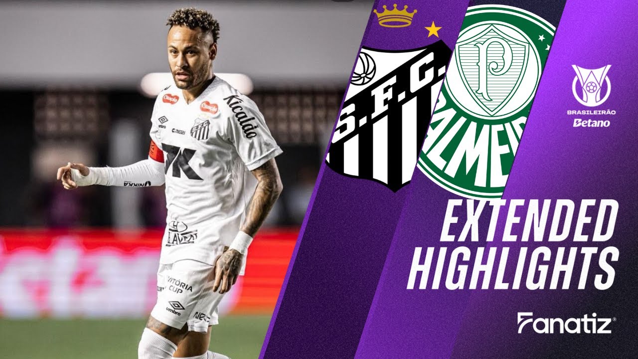Santos vs Palmeiras 1-0 I Game Highlights I Brasileir&atilde;o 2025