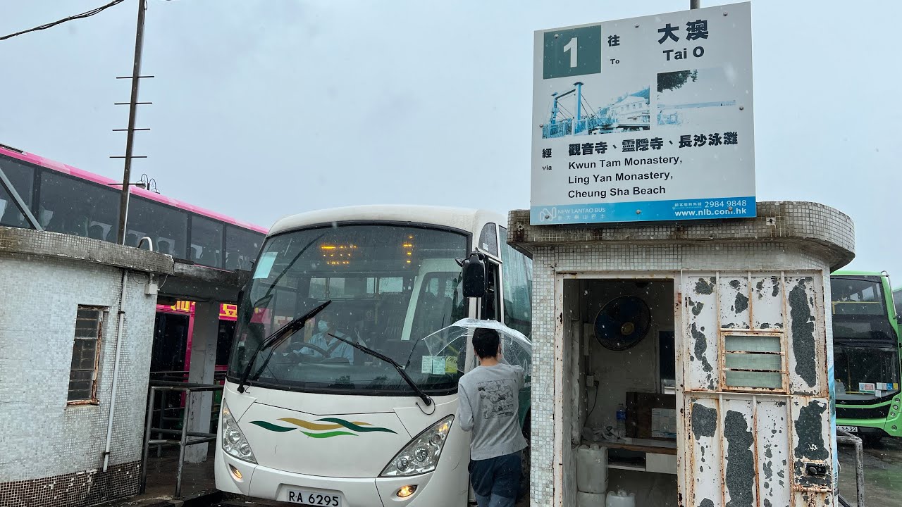 巴士路線評價：嶼巴1號（第一及特別版）