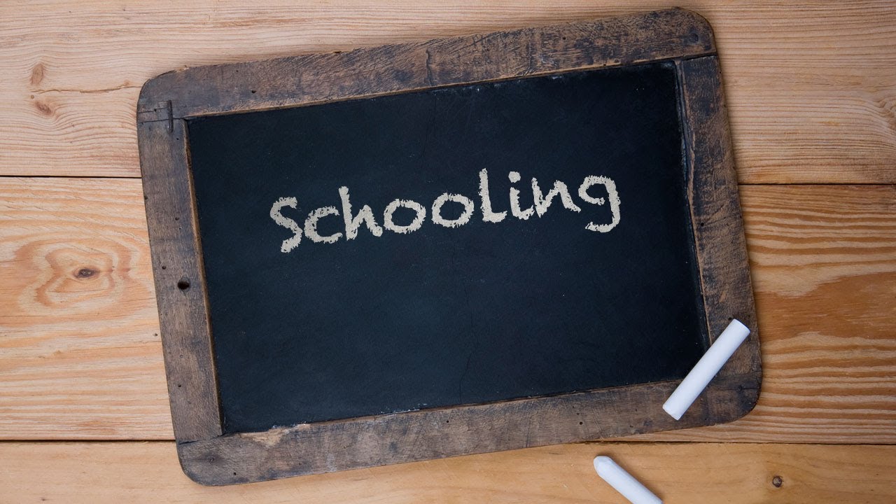 Ask Jay - Schooling You NEED To Start A Business