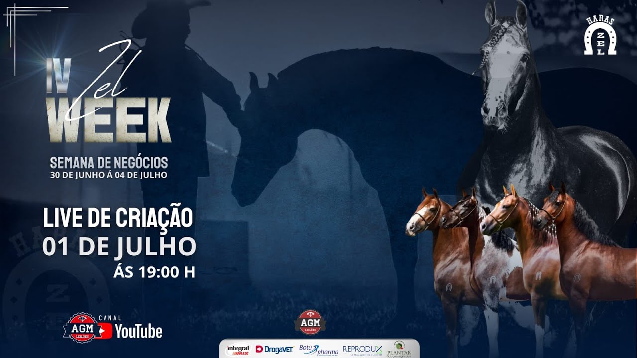 Live Criação - Haras Zel