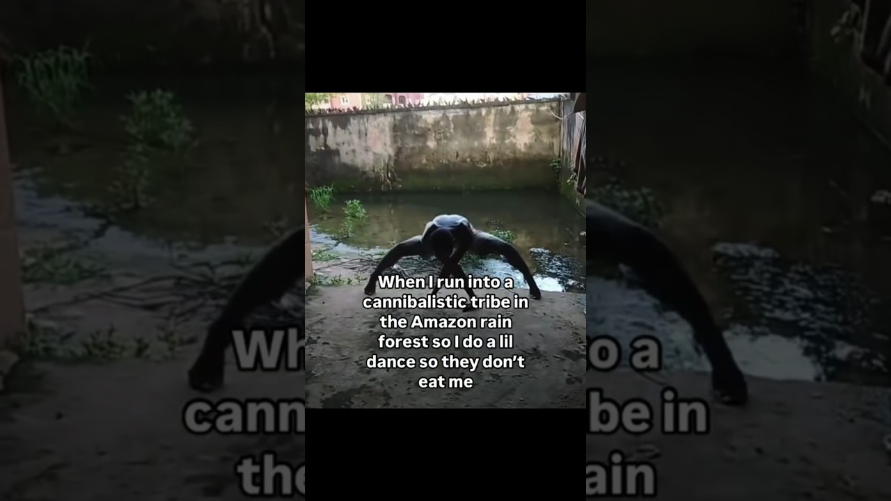 Medium Rare Memes #003