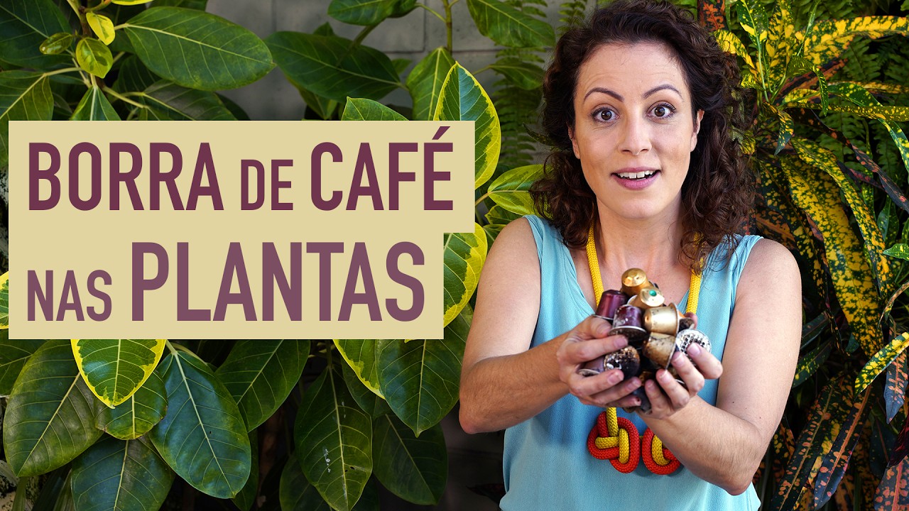 Como USAR BORRA de CAF&Eacute; na ADUBAC&Atilde;O das PLANTAS