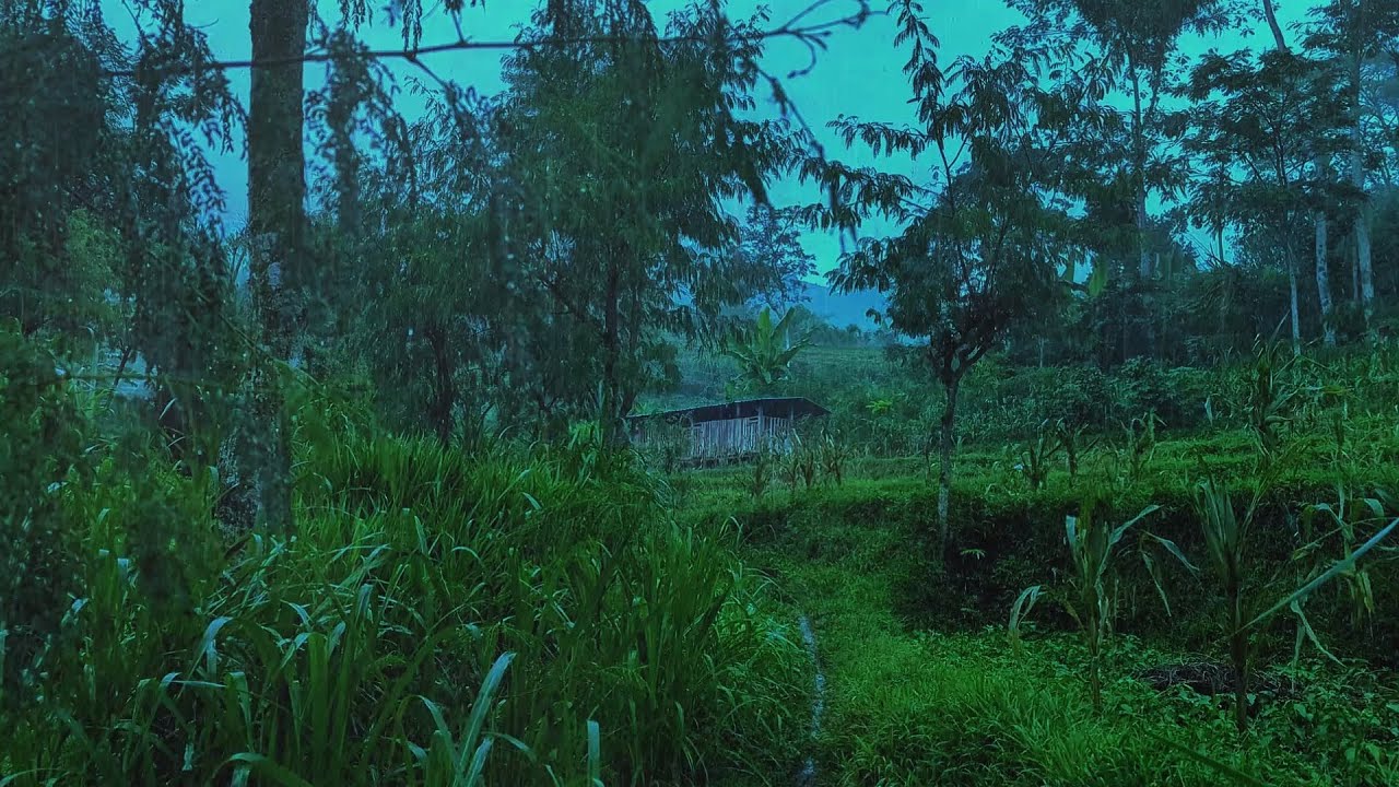 Rainstorm in Tropical Rainforest 🌧️ Calming Rain for Sleep & Focus 10 Hours