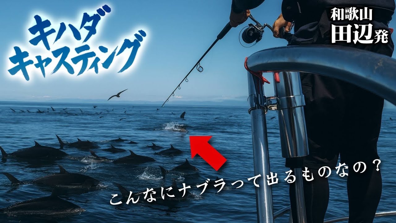 【ナブラ鳥山だらけ】キハダマグロキャスティングに挑戦！