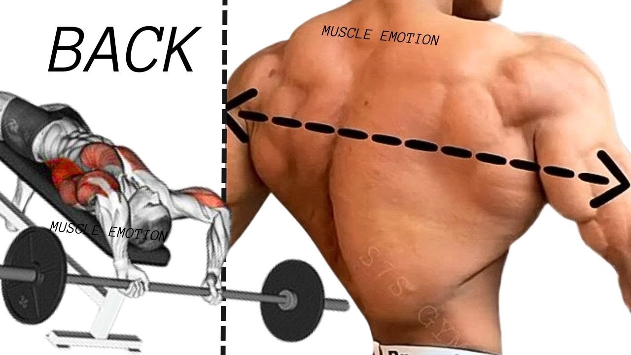 TOP 5 LAT MIDDLE BACK TRAPS WORKOUT WITH BARBELL  CABLE AND MACHINE  AT GYM