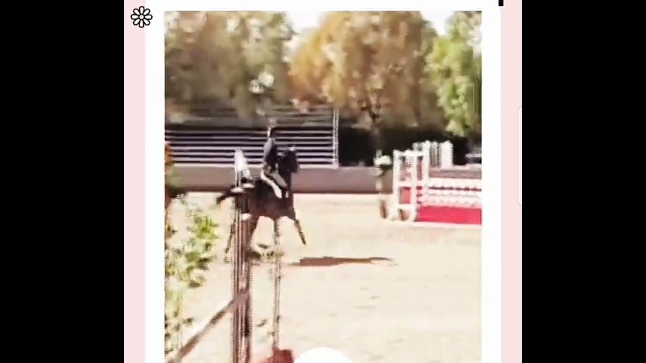 🥺Do you know Gigi Hadid is a horse girl?🥺#gigihadid#zaynmalik