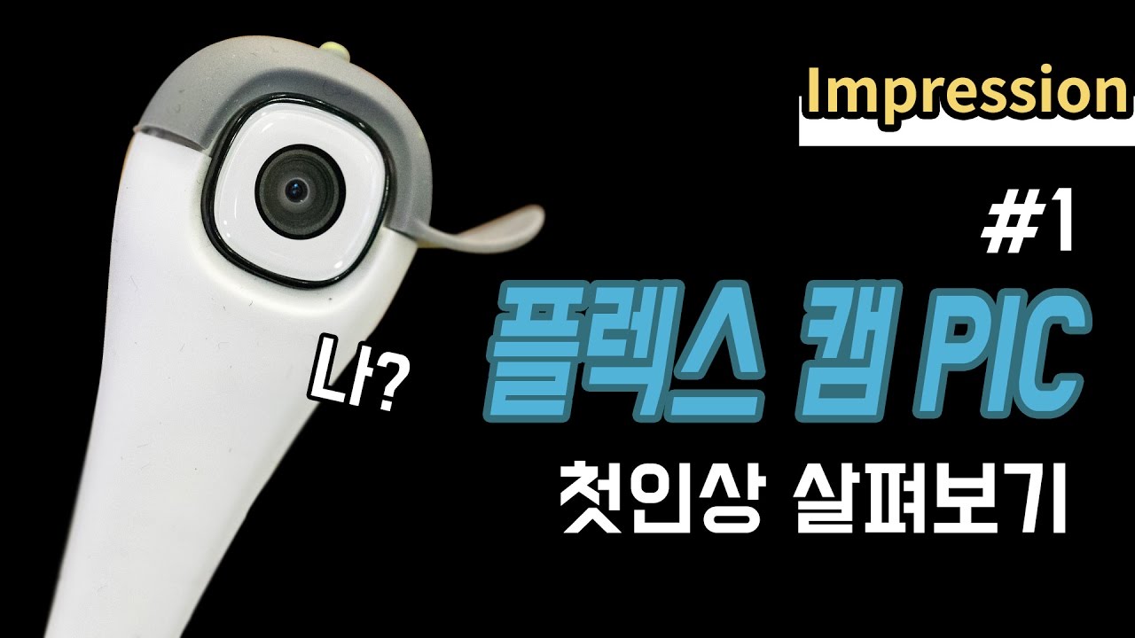 [리뷰] 플렉스 캠 PIC(Flex Cam PIC) 첫인상 살펴보기