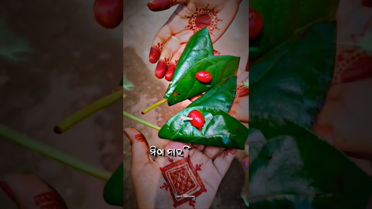 Happy Raja 😍 Raja festival 😘💗🧿🕊️ #love #viralvideo #youtubeshorts #trendingshorts #romanticpartners