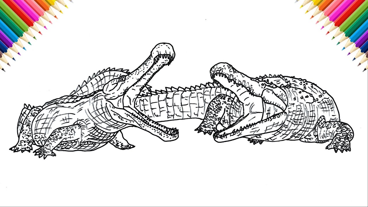 How to Draw Sarcosuchus vs Deinosuchus Drawing and Coloring