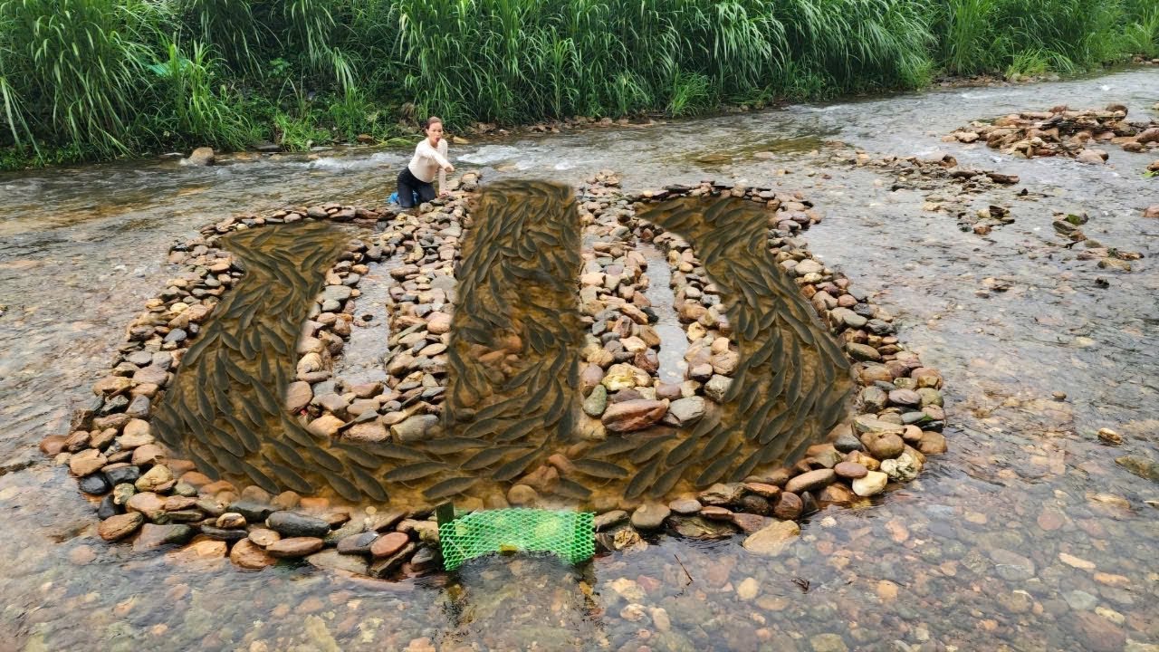 She cleverly used stacked stream stones to create a fish trap. She caught a lot of fish.