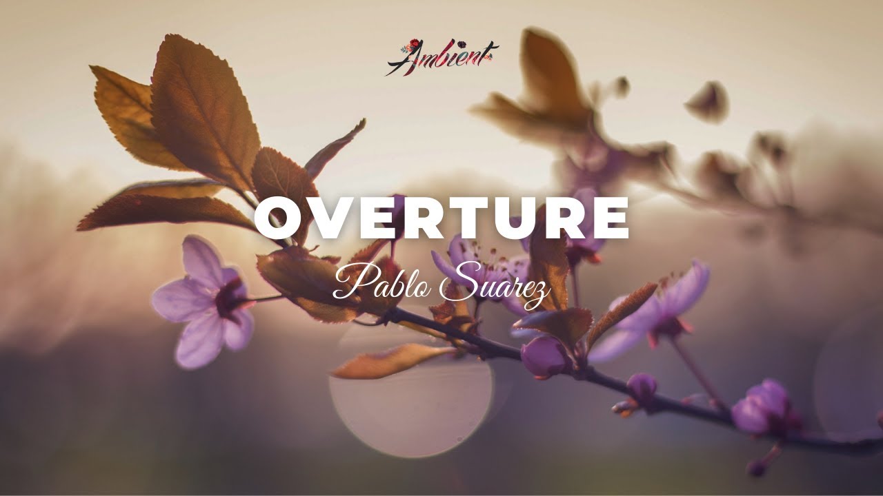 Pablo Suarez - Overture [meditation relaxing ambient]