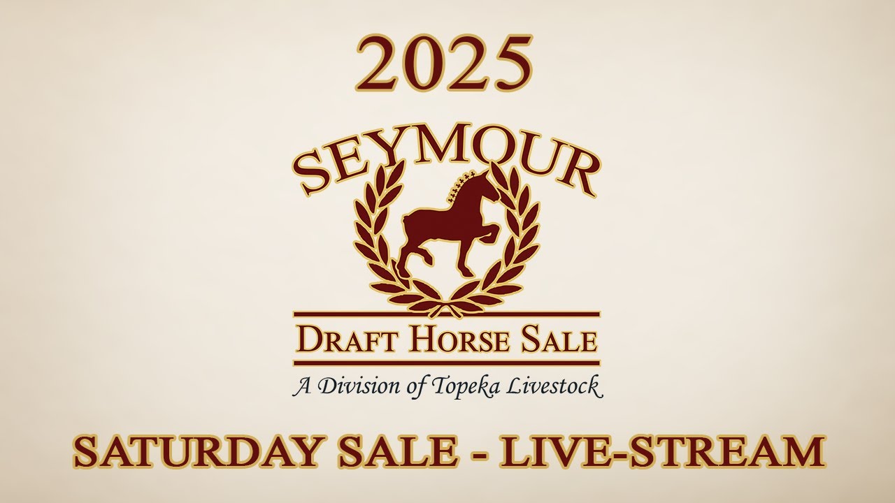 2025 Seymour Draft Horse Sale