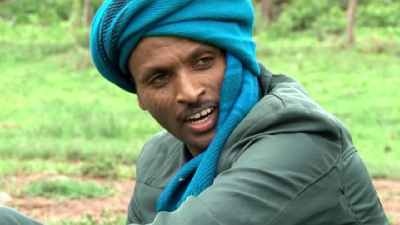 የስጋ ቀማኛ  | CHILOT
