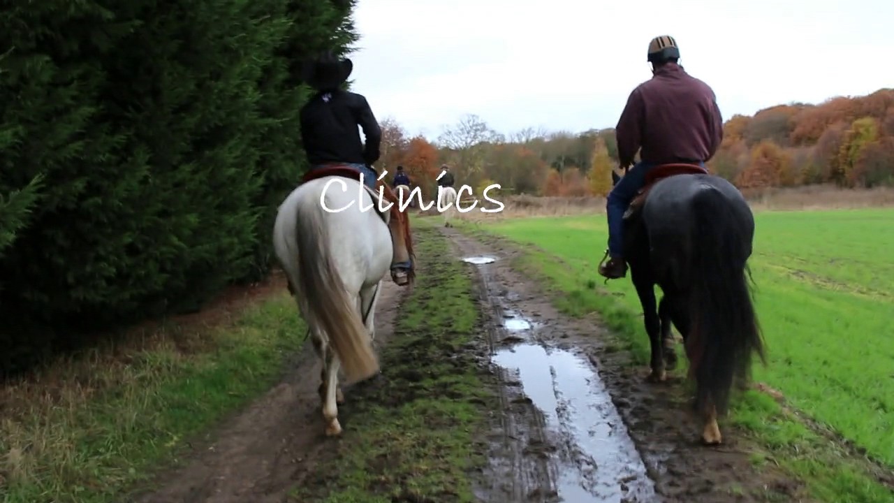 The Good Horsemanship Channel
