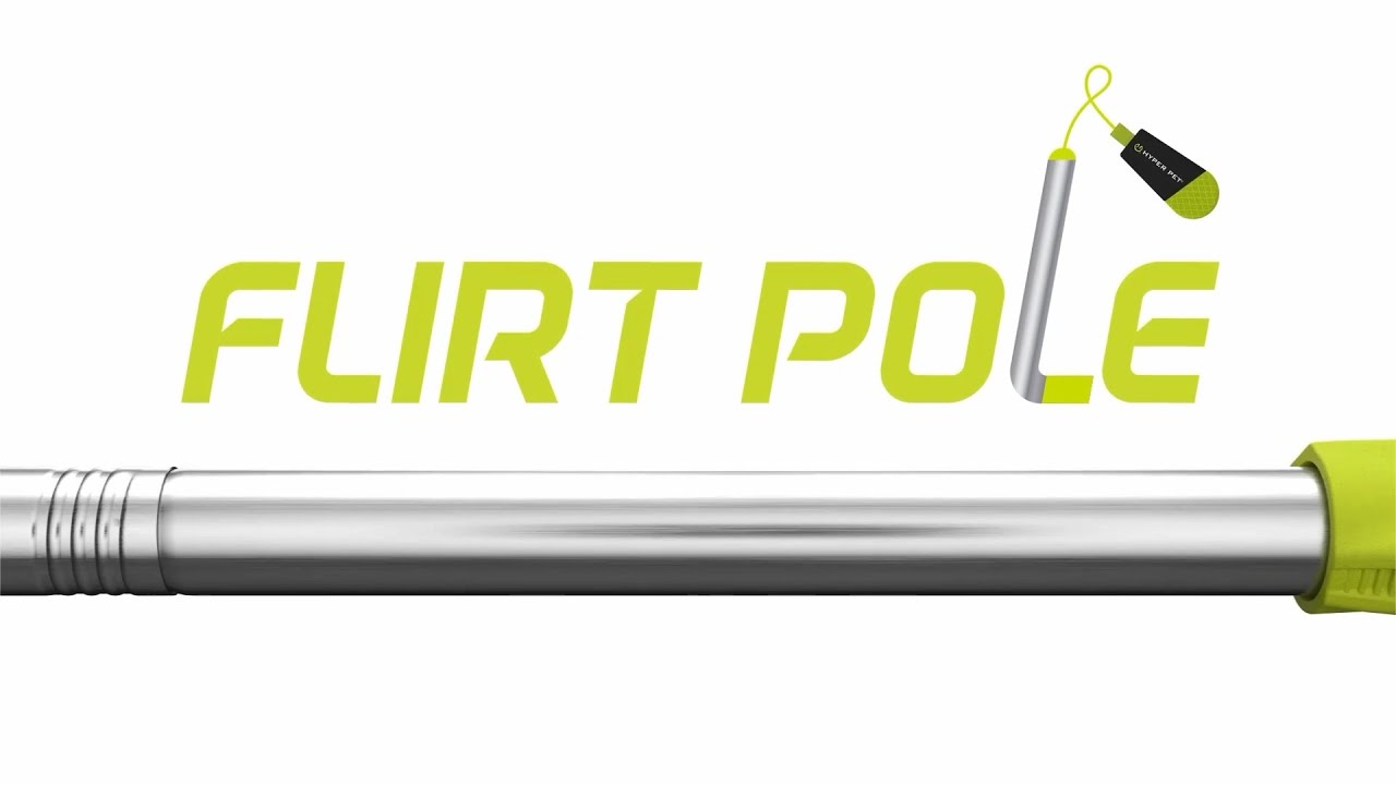 NEW! Hyper Pet Flirt Pole | Instructions for Assembly & Use