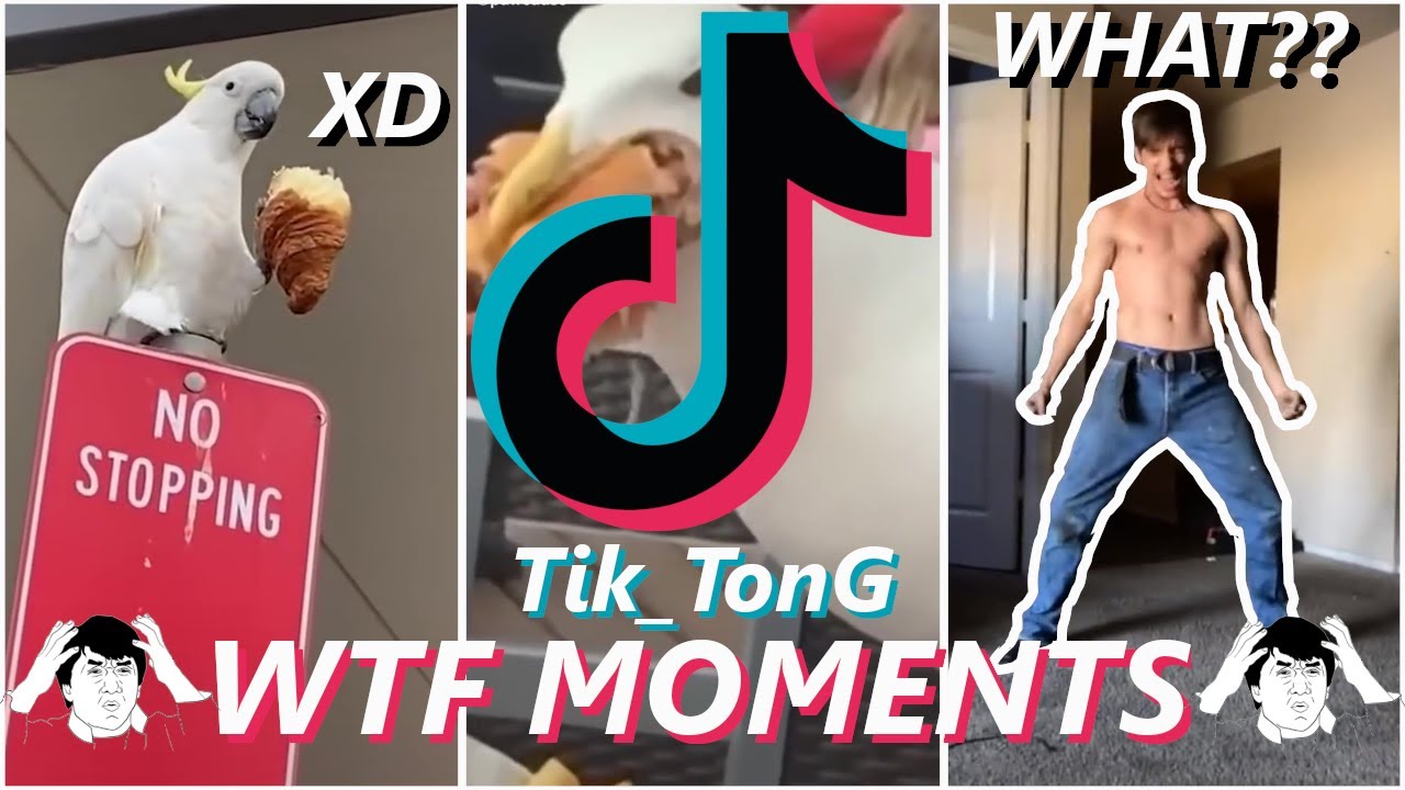Wtf TikTok Moments 🔥 | TikTok Compilation | 🔥 Try Not To Laugh