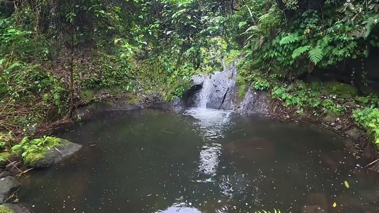 EL TIERRA MAGALLANES