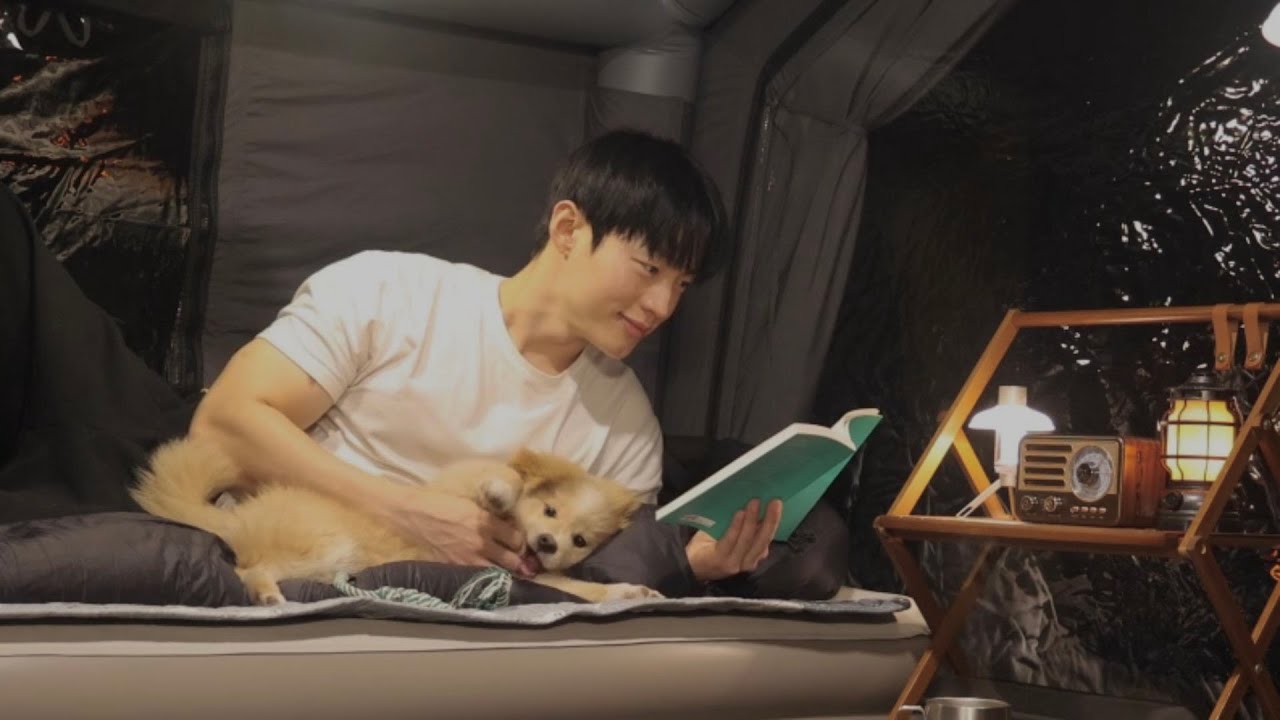 ⛺고요한 겨울 숲속 에어텐트 안에서 강아지와 함께 포근한 하룻밤ㅣ캠핑 브이로그 ASMR