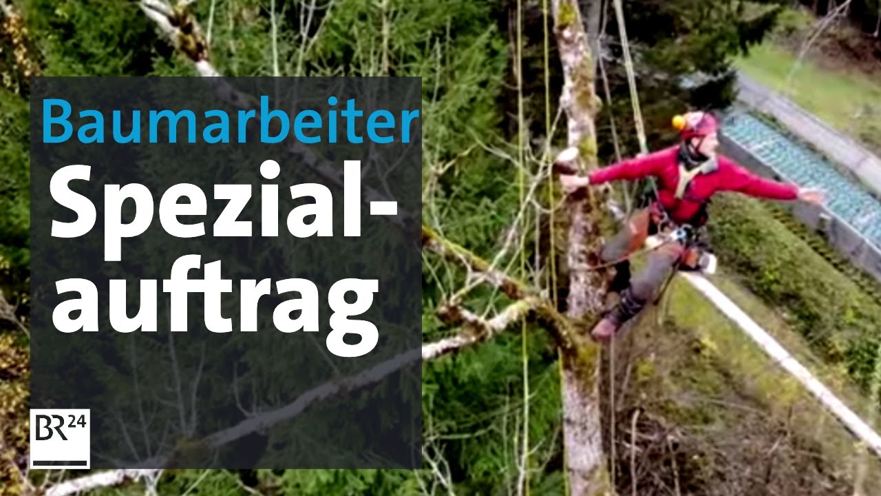 Baum fällen extrem: Spezialauftrag für Baumarbeiter | Abendschau | BR24