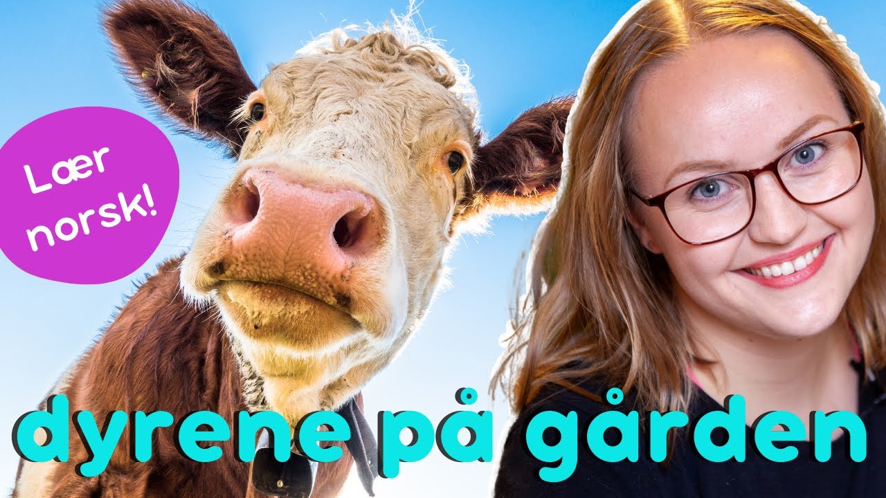 Dyrene på gården | Lær norsk | Farm animals in Norwegian