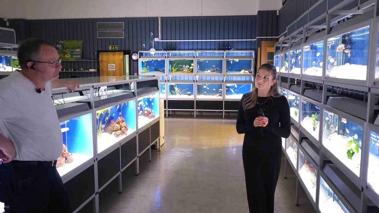 Akvarieträff 2025 & ny fisk 🐠🌿