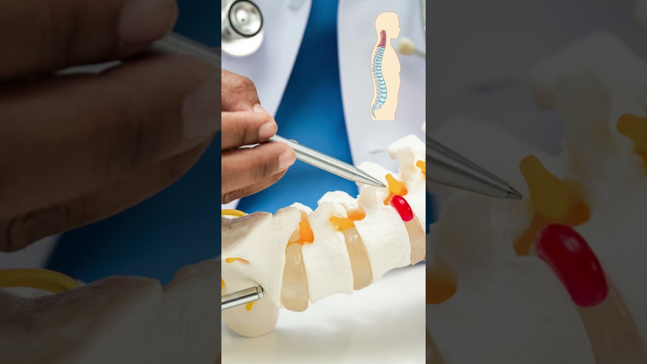 Relação entre coluna vertebral e Reflexologia