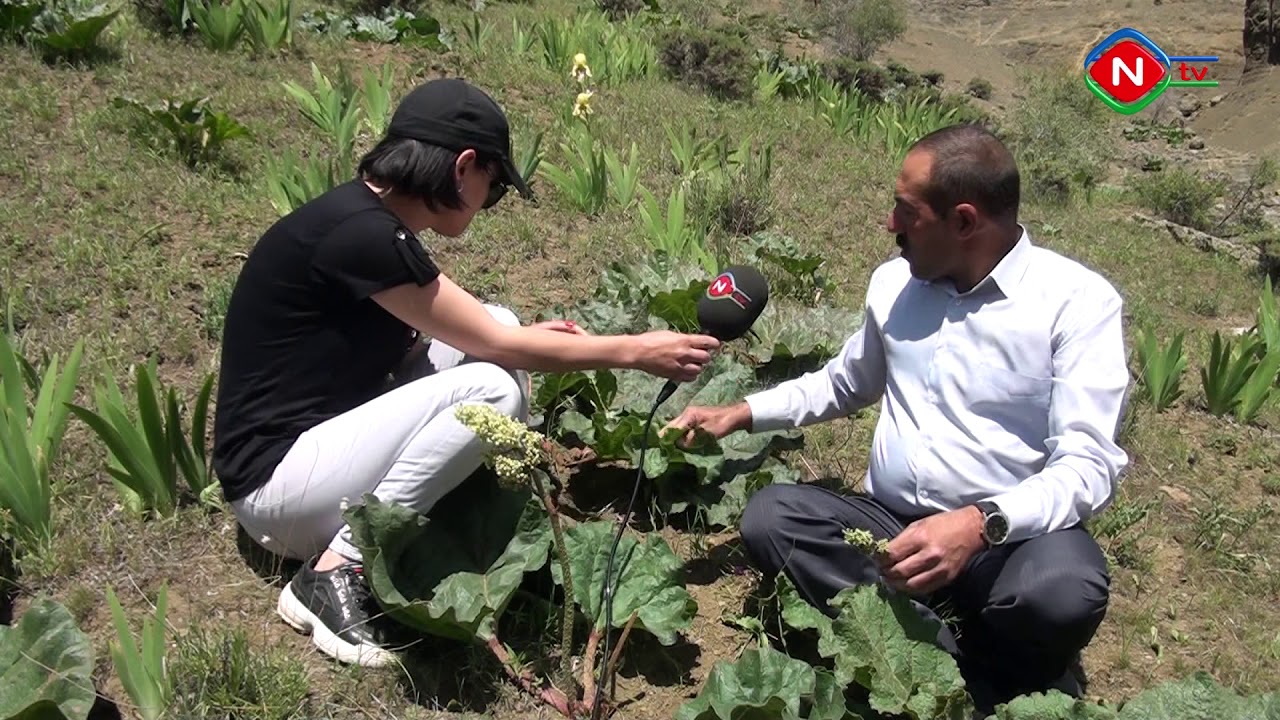 Dağların bənzərsiz neməti-uşqun