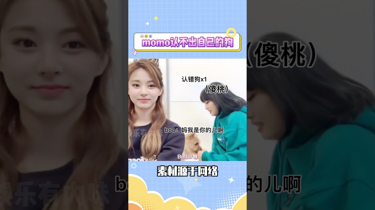 我真的要被momo笑死了，怎么自己的狗也认不出来啊#twice #平井桃 #kpop #娱乐