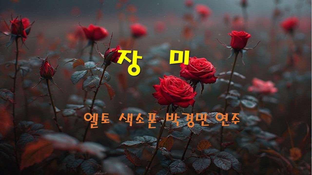 장미 .  알토 색소폰.  박경민 연주.#색소폰 #색소폰연주 #saxophone #saxophonecover  #감성음악 #힐링음악 #잔잔한음악 #카페음악