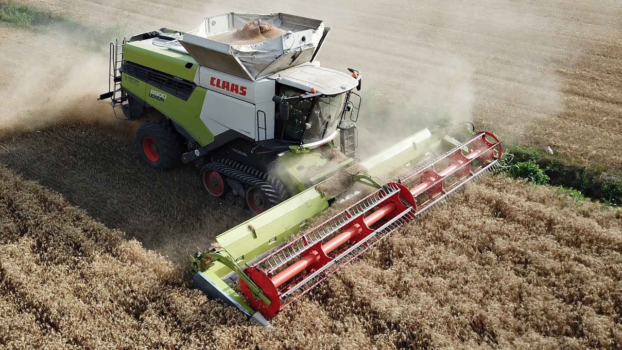 Claas Lexion 8900 | Trebbiatura Grano 2024 | Wheat Harvest in Italy