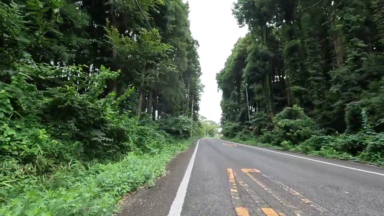 Cycling | 阿見町道112号線 | 4K | August 2024 | 字幕あり