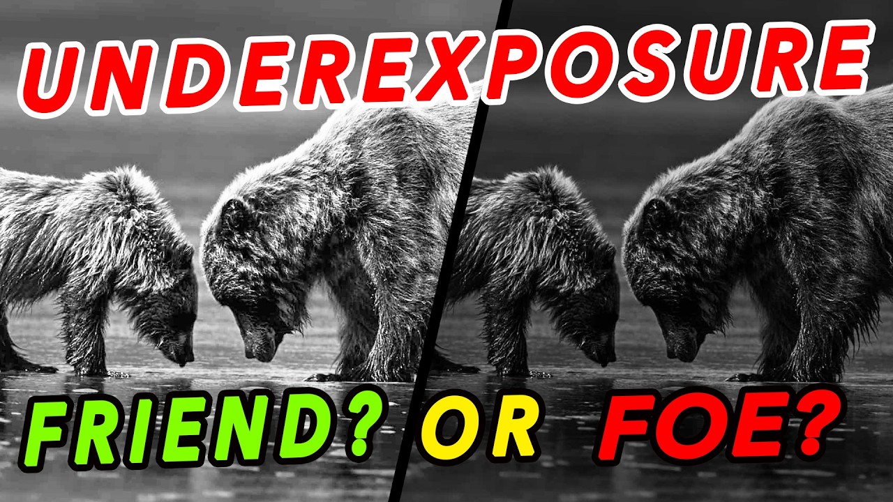 Why I UNDEREXPOSE My Photos and YOU should too