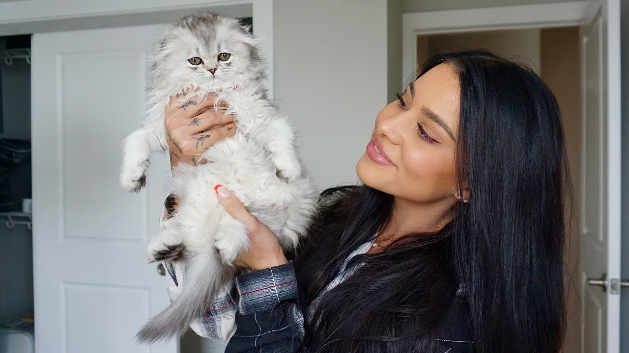 MY NEW BABY KITTEN!!