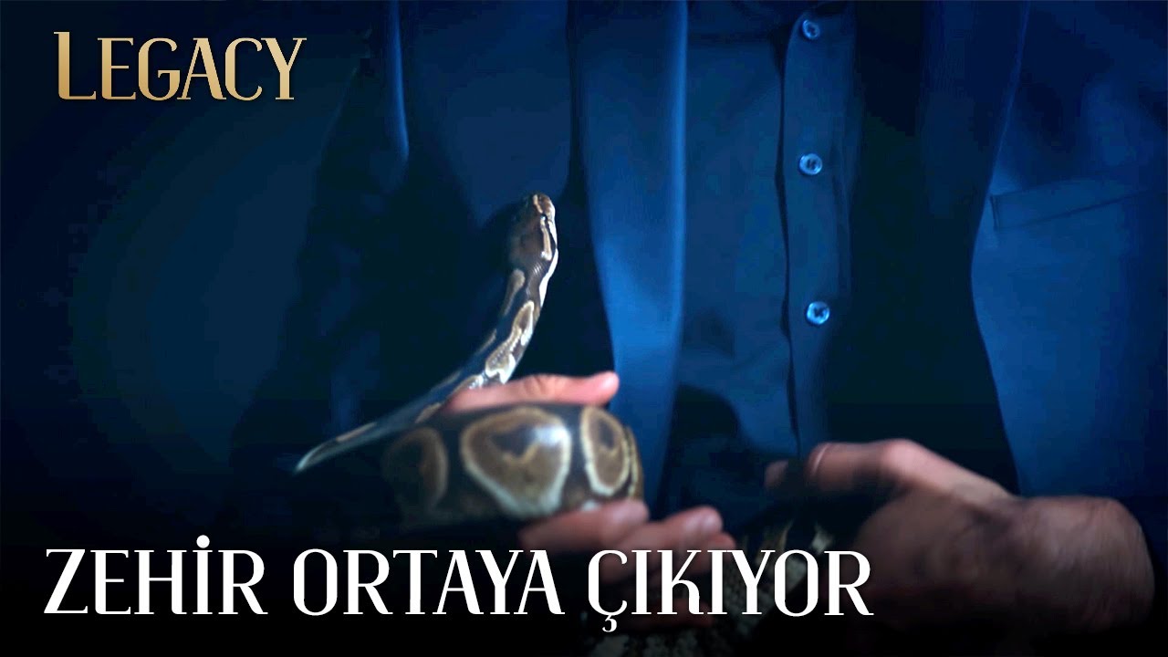 Yeni kötü 