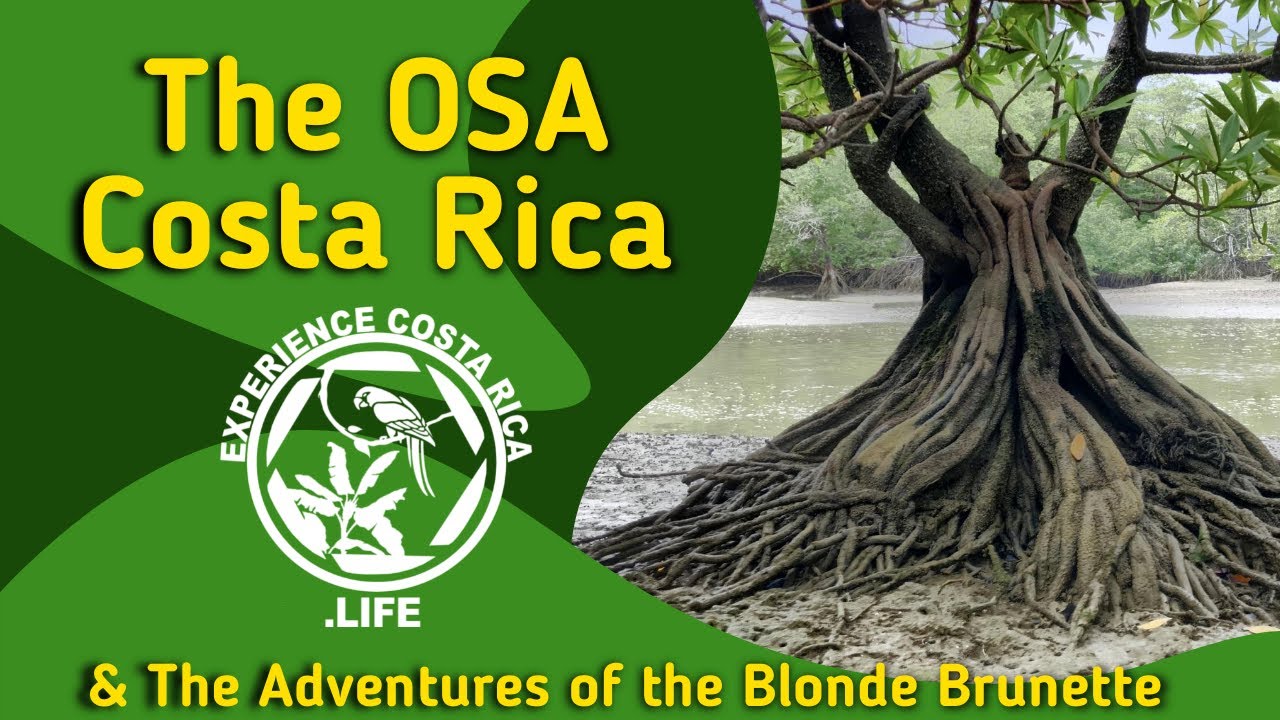 Visit the Osa Peninsula | Puerto Jiménez Costa Rica