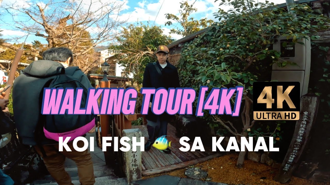 KOI FISH 🐠 SA KANAL 