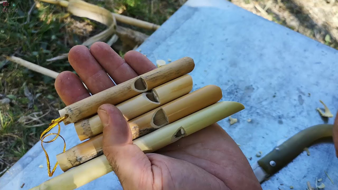 Kamıştan düdük yapımı, doğada basitçe düdük nasıl yapılır?