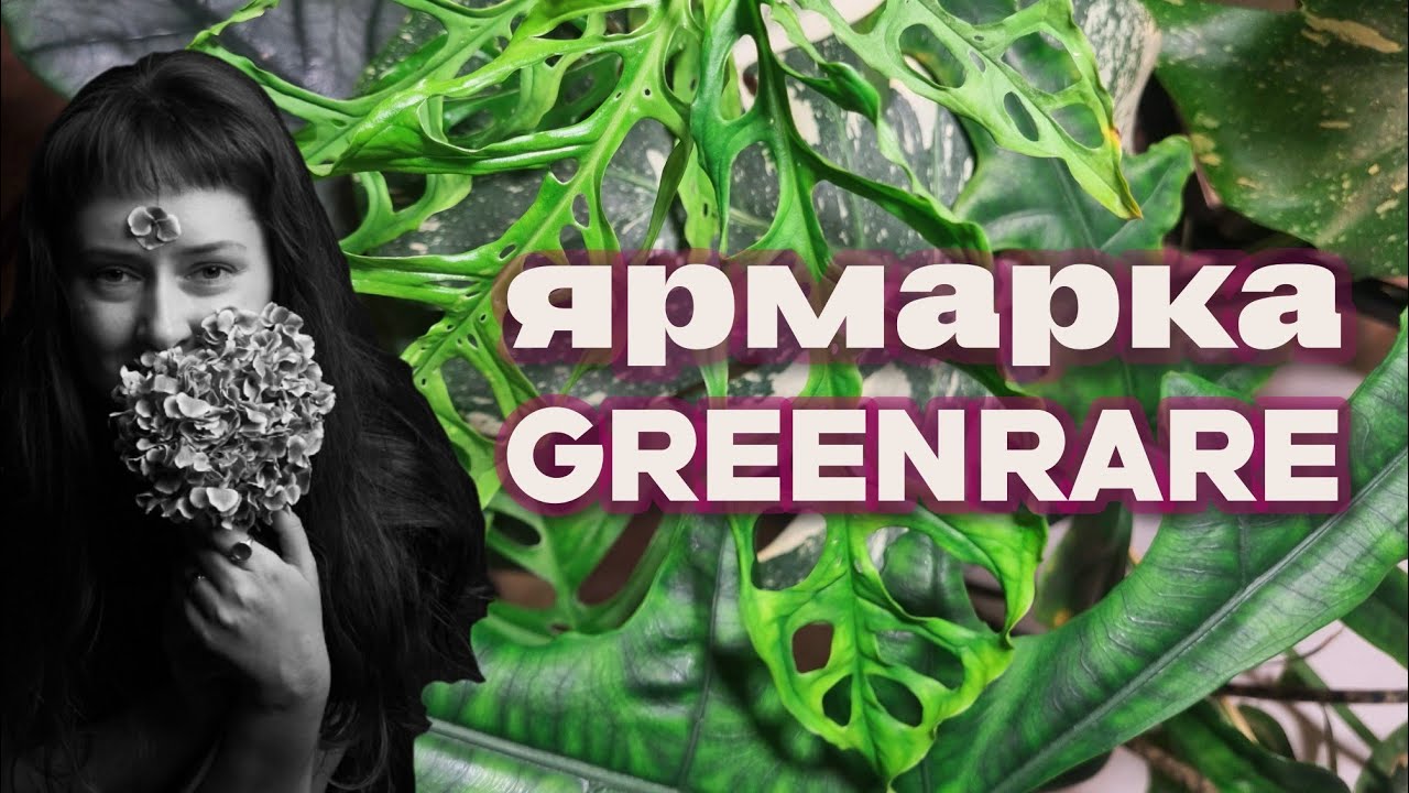Первый маркет растений в 2026: Greenrare в Москве