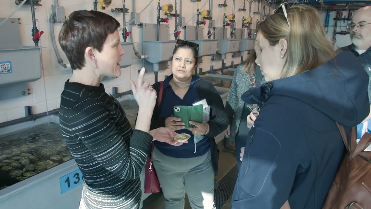 Virginia’s experience with MSX aids Atlantic Canada’s aquaculture industry