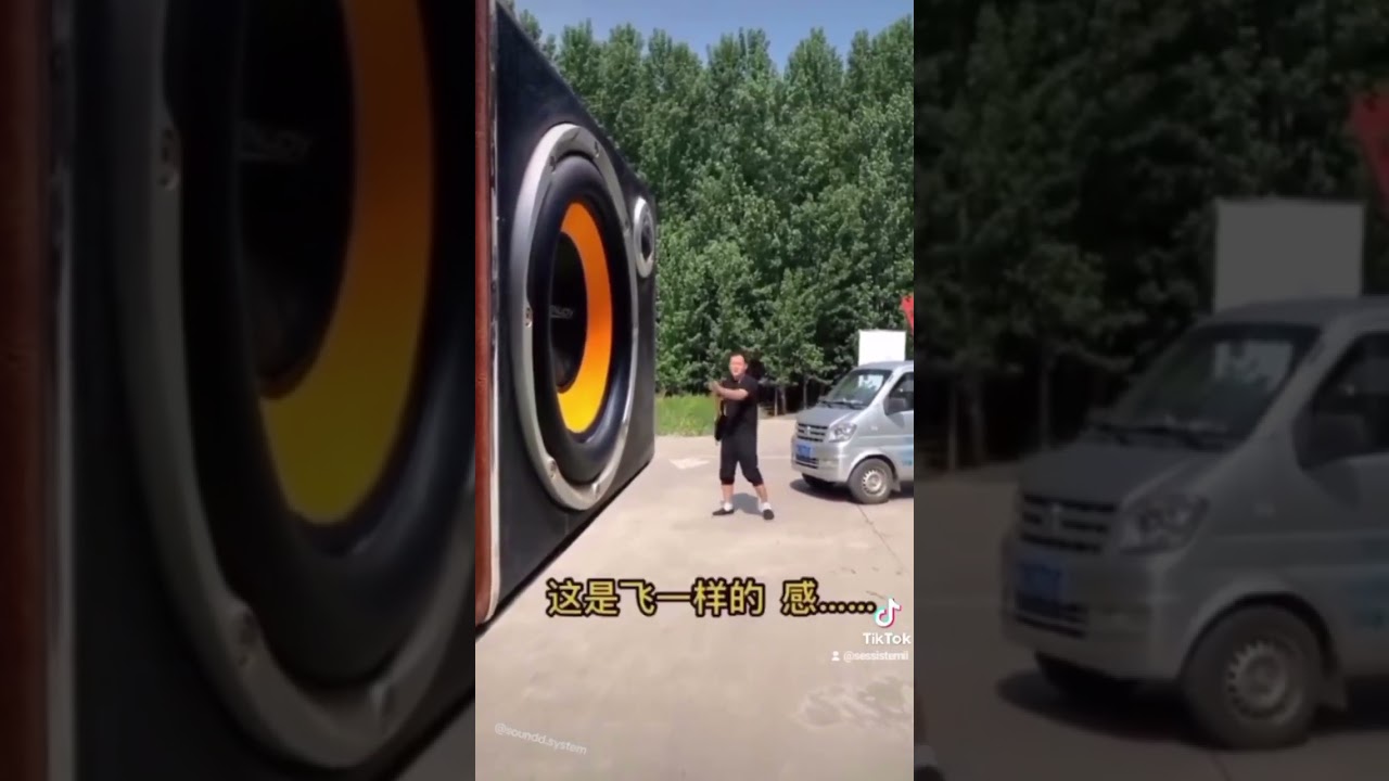 Самый большой динамик колонка