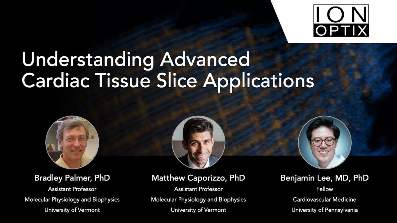Understanding Advanced Cardiac Tissue Slice Applications