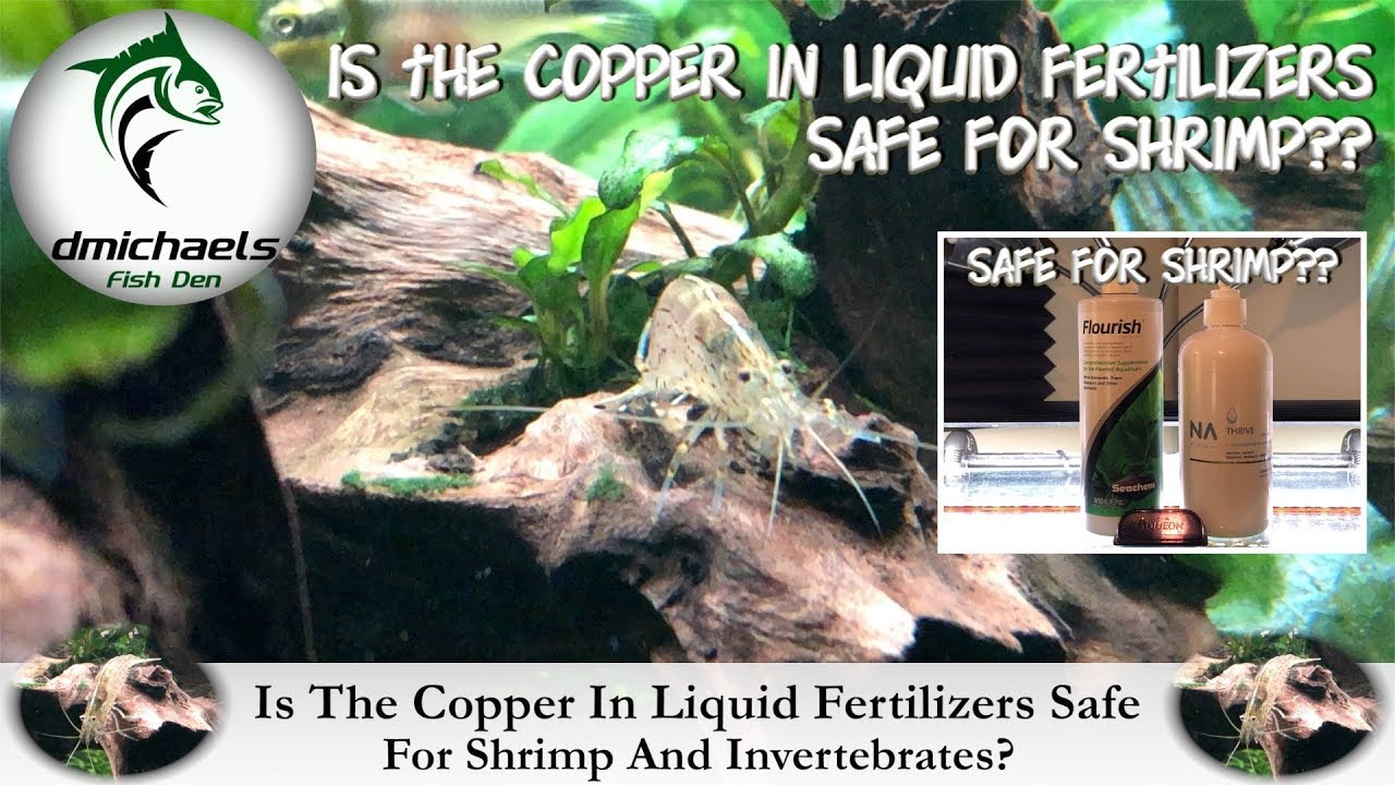 Is The Copper In Liquid Fertilizers Safe For Shrimp And Invertebrates?