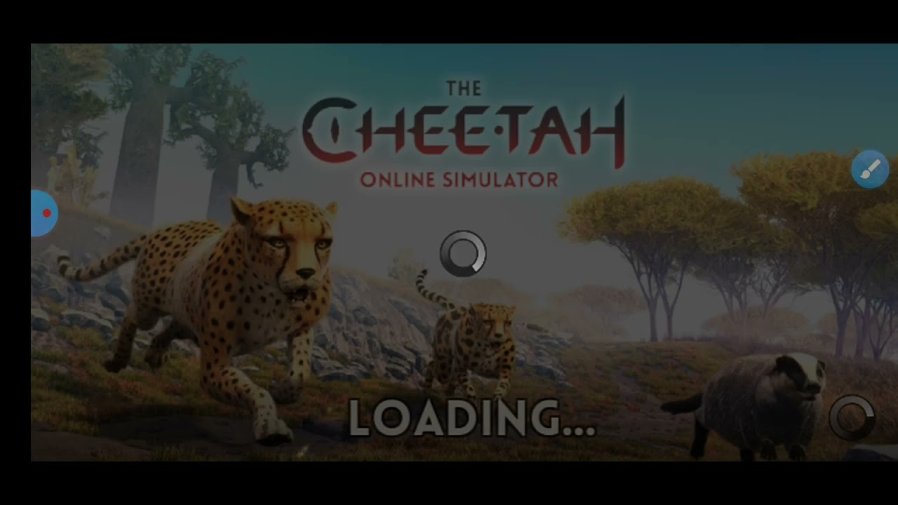 The cheetah free account 😱🙀