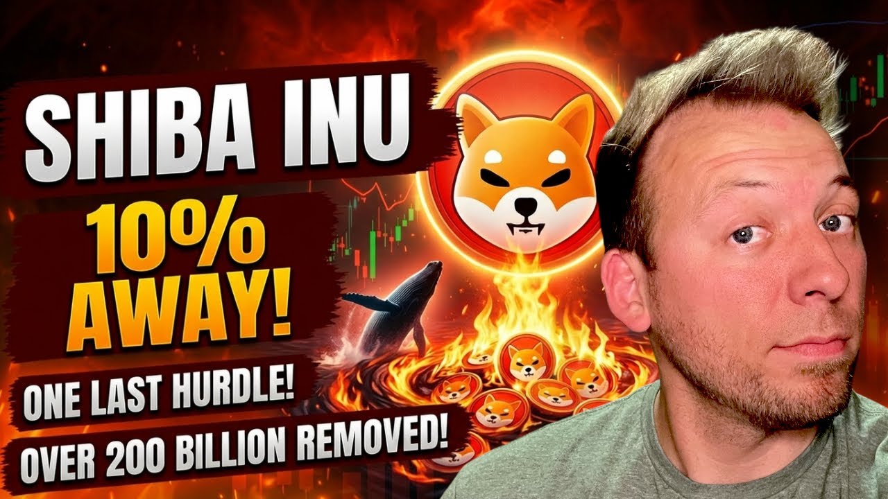SHIBA INU &mdash; Последнее препятствие! До этого осталось всего 10%! Сожжено более 200 миллиардов!